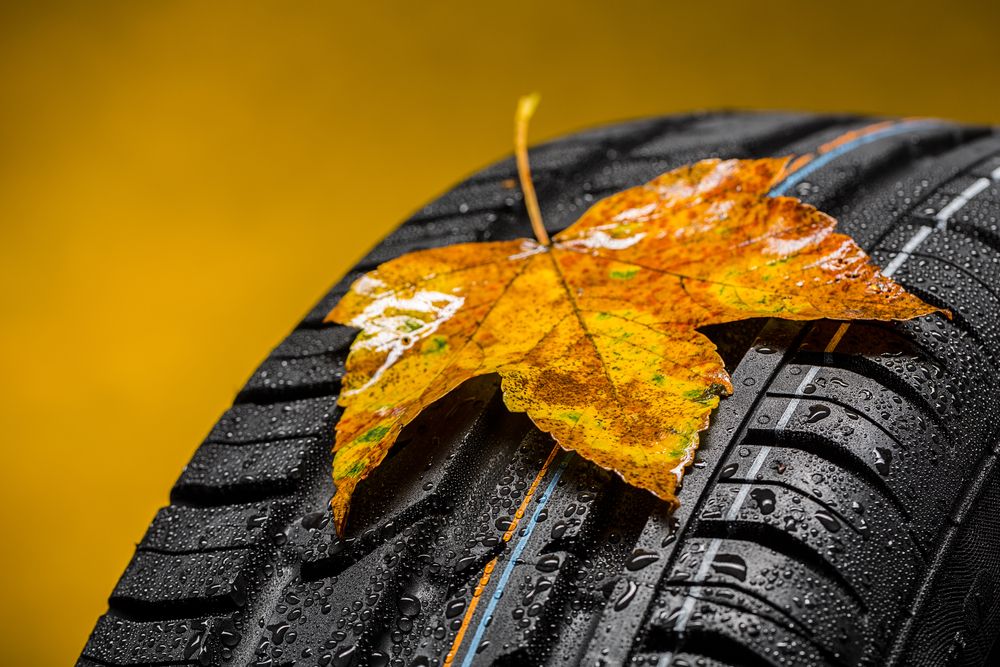 All Season Tires